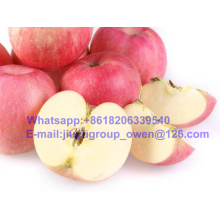 New Crop FUJI Apple Food Grade